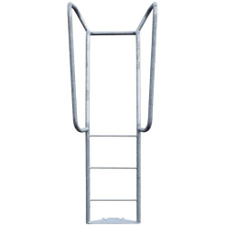 Ladder for bowser