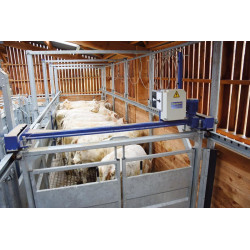 Motorised basic module for forcing race Motorised basic module for forcing race