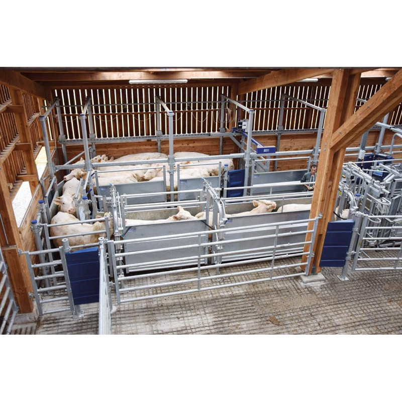 Motorised basic module for forcing race Motorised basic module for forcing race