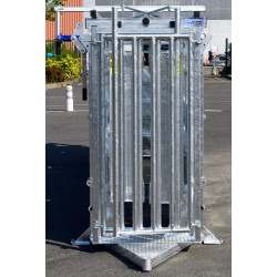 Fixed cattle handling race Fixed cattle handling race