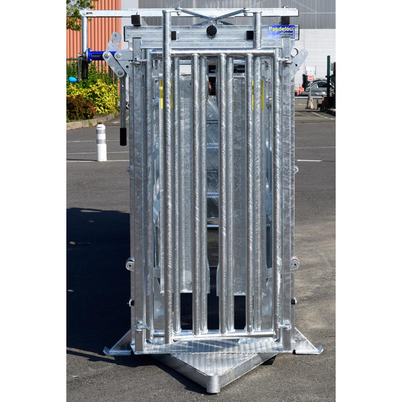 Fixed cattle handling race Fixed cattle handling race