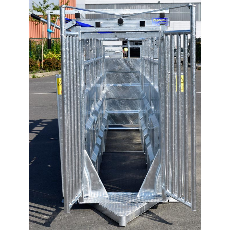 Fixed cattle handling race Fixed cattle handling race