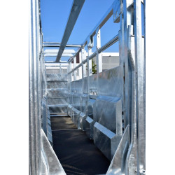 Fixed cattle handling race Fixed cattle handling race