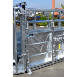 Fixed cattle handling race Fixed cattle handling race