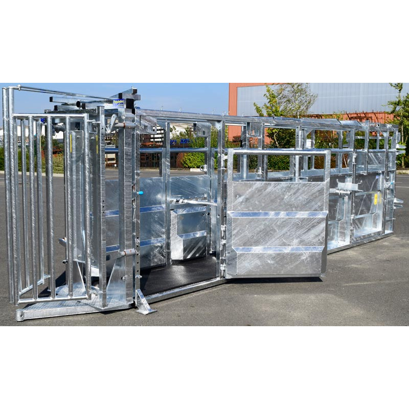 Fixed cattle handling race Fixed cattle handling race