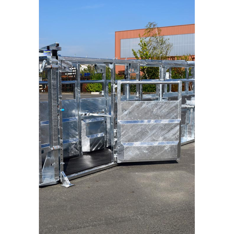 Fixed cattle handling race Fixed cattle handling race