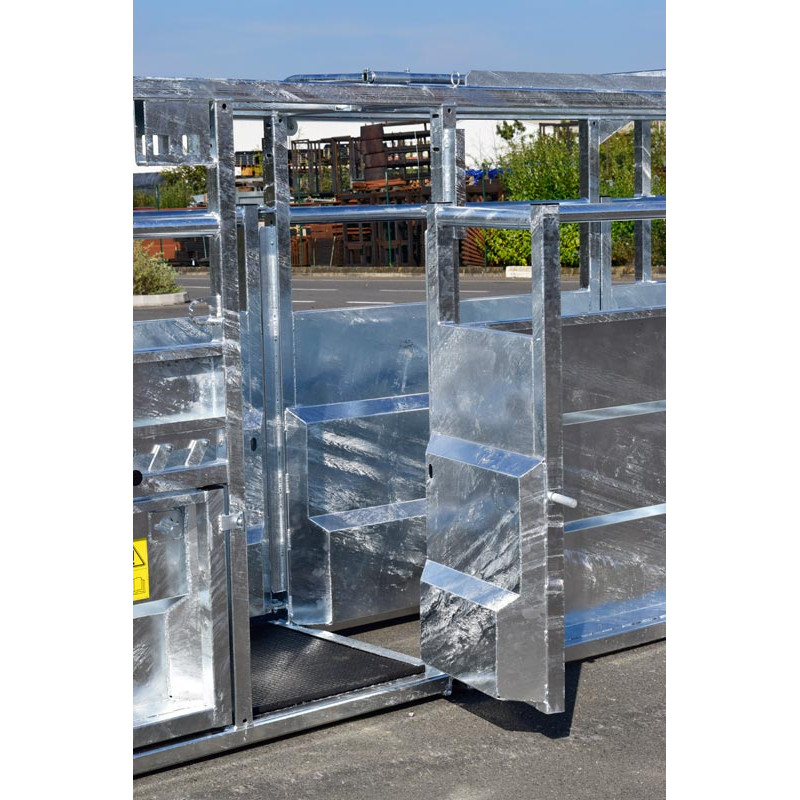 Fixed cattle handling race Fixed cattle handling race