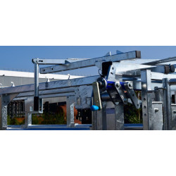 Fixed cattle handling race Fixed cattle handling race