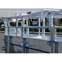 Fixed cattle handling race Fixed cattle handling race