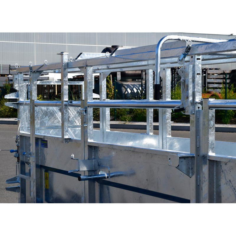 Fixed cattle handling race Fixed cattle handling race