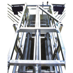 Fixed cattle handling race Fixed cattle handling race