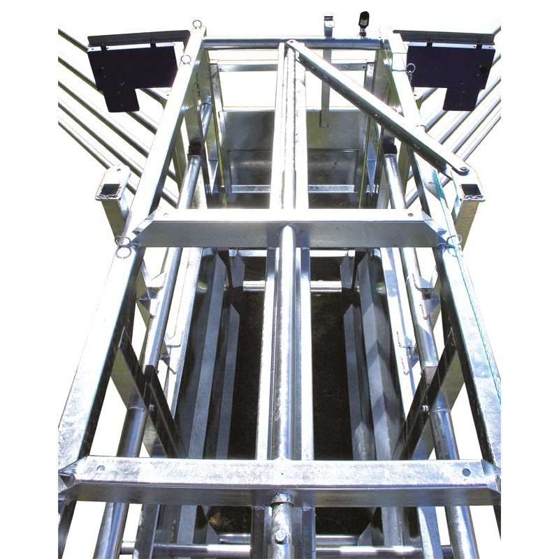 Fixed cattle handling race Fixed cattle handling race