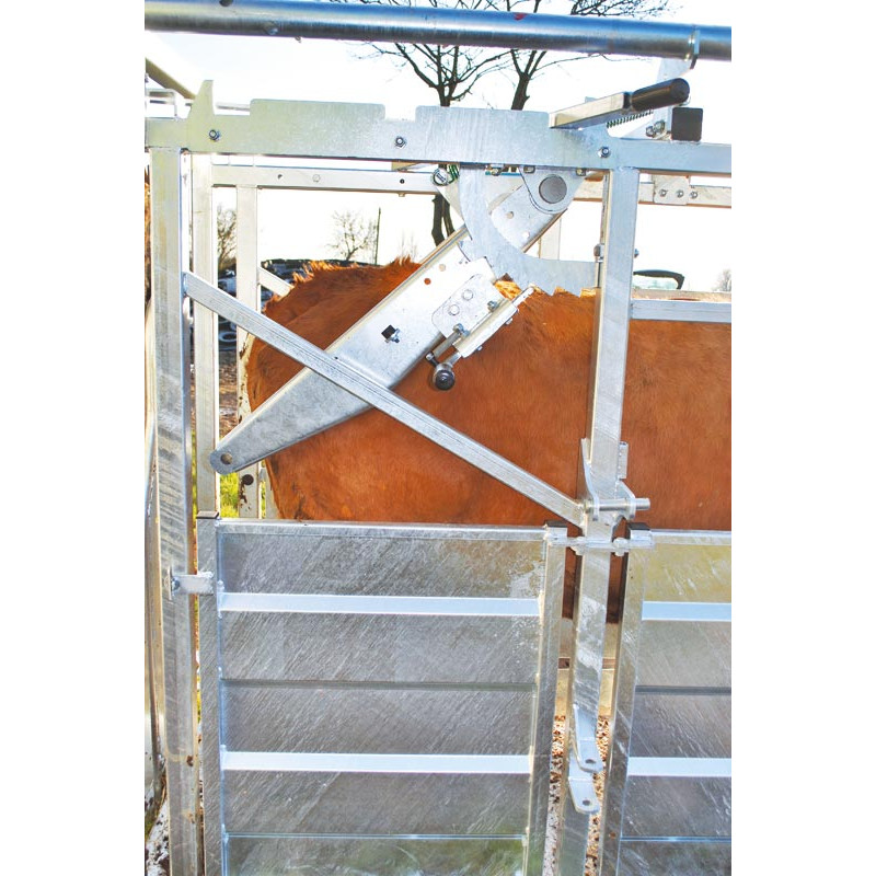 LFM crush - 4 gates - Fixed width sides - Side panels LFM crush - 4 gates - Fixed width sides - Side panels