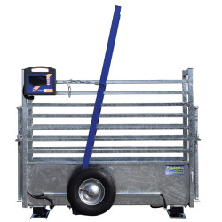 Mobile weighing crush for calves