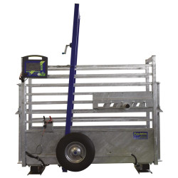 Mobile weighing crush for calves