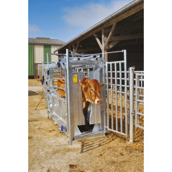 LVM crush - 4 gates - Adjustable sides - side panels with gates
