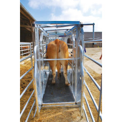 LVM crush - 4 gates - Adjustable sides - side panels with gates