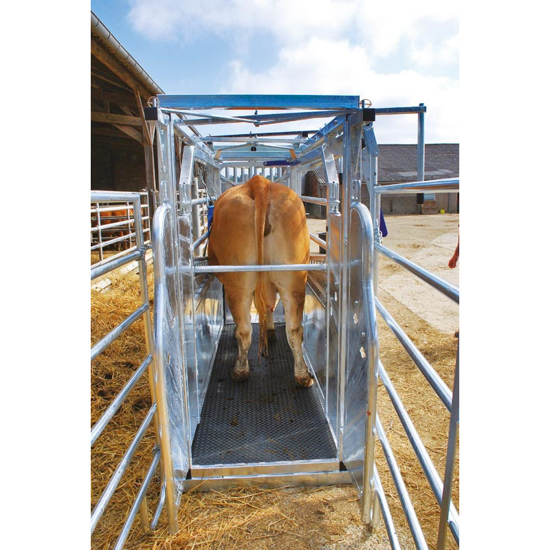 LVM crush - 4 gates - Adjustable sides - side panels with gates