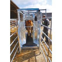 LVM crush - 4 gates - Adjustable sides - side panels with gates