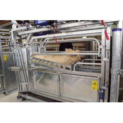 LVAP crush - 4 gates - Adjustable sides - Opening side panels with gates