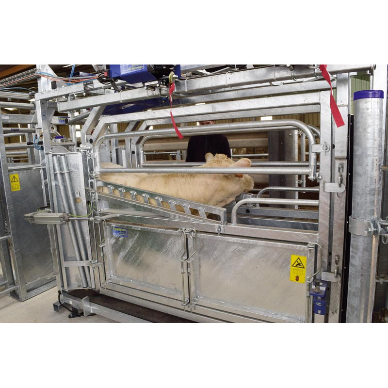 LVAP crush - 4 gates - Adjustable sides - Opening side panels with gates