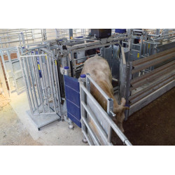 LVAP crush - 4 gates - Adjustable sides - Opening side panels with gates