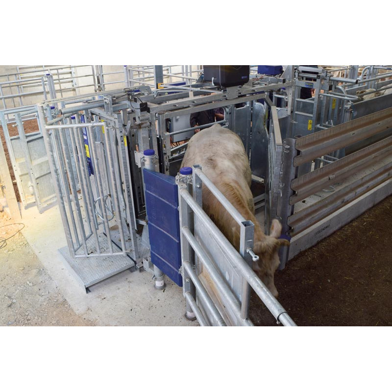 LVAP crush - 4 gates - Adjustable sides - Opening side panels with gates