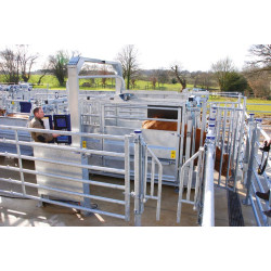 LVAP crush - Sheeted panels - Adjustable sides - Non-opening sheeted side panels LVAP crush - Sheeted panels - Adjustable sides - Non-opening sheeted side panels