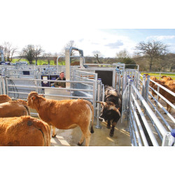 LVAPI crush - Sheeted panels - Adjustable sides - Opening sheeted side panels LVAPI crush - Sheeted panels - Adjustable sides - Opening sheeted side panels