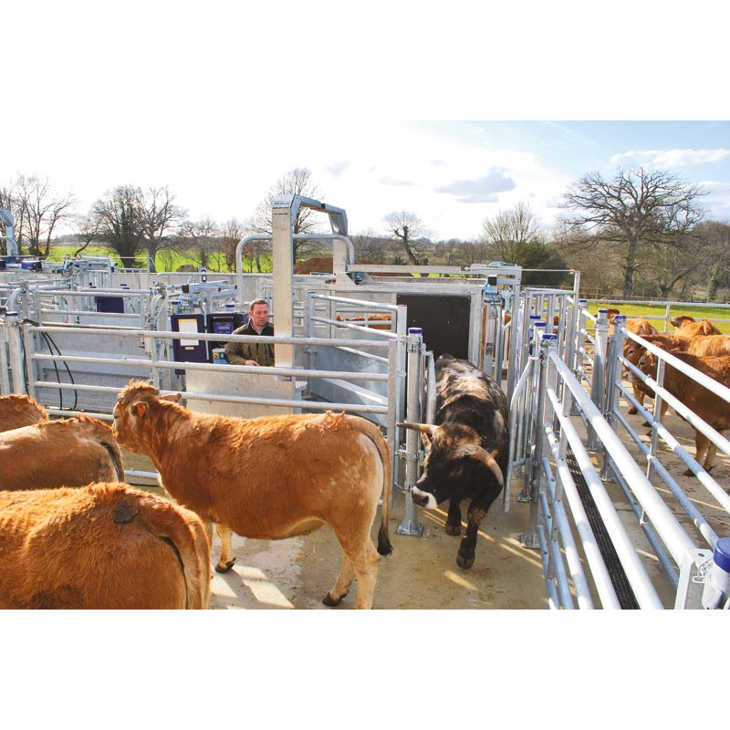 LVAPI crush - Sheeted panels - Adjustable sides - Opening sheeted side panels LVAPI crush - Sheeted panels - Adjustable sides - Opening sheeted side panels