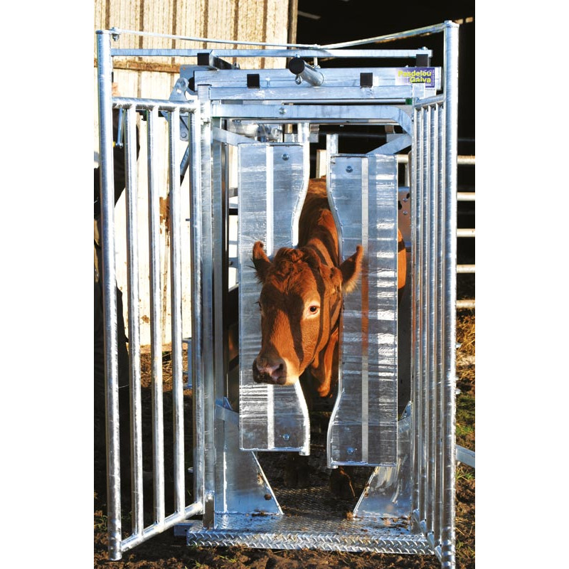 PCCM manual headgate