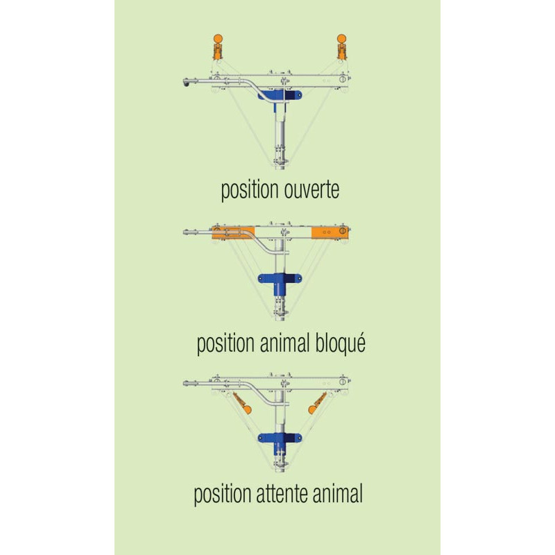 PCCA self-locking manual headgate PCCA self-locking manual headgate