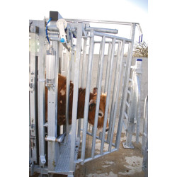 PCCM PC pneumatic headgate