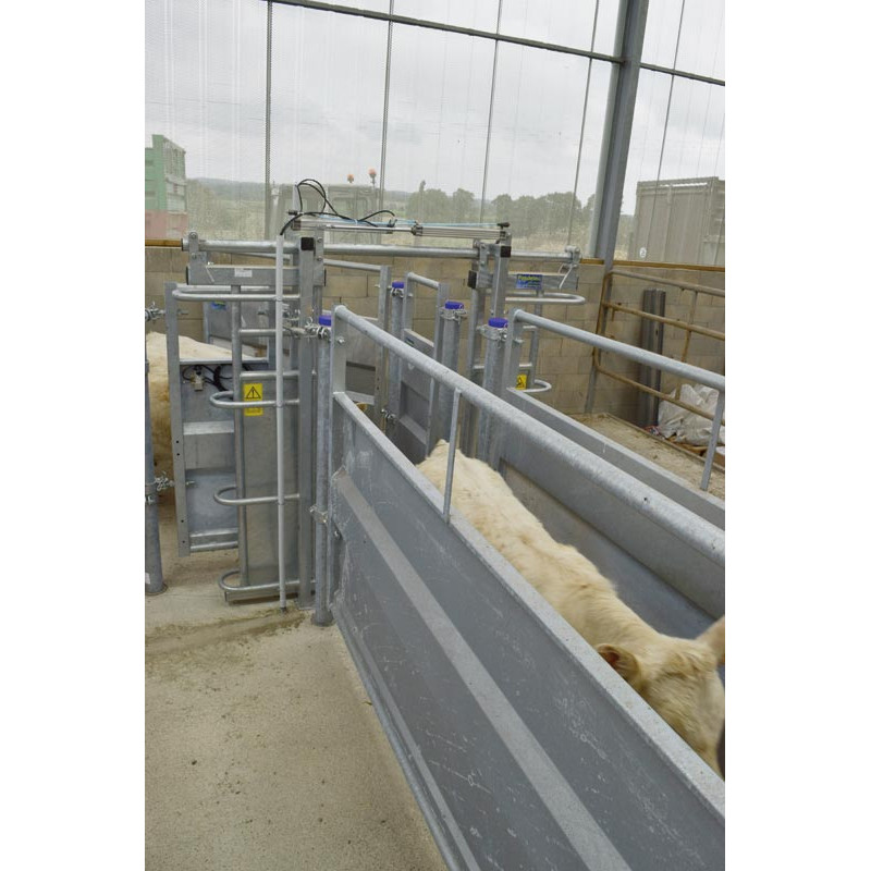 Pneumatic double-panel stop gate