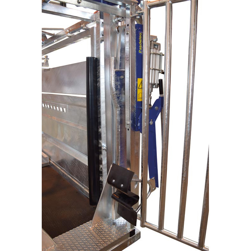 Pneumatic head scoop