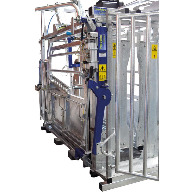 Pneumatic head scoop