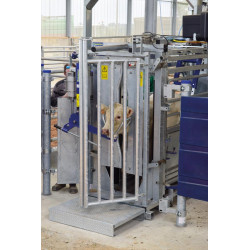 Pneumatic head scoop