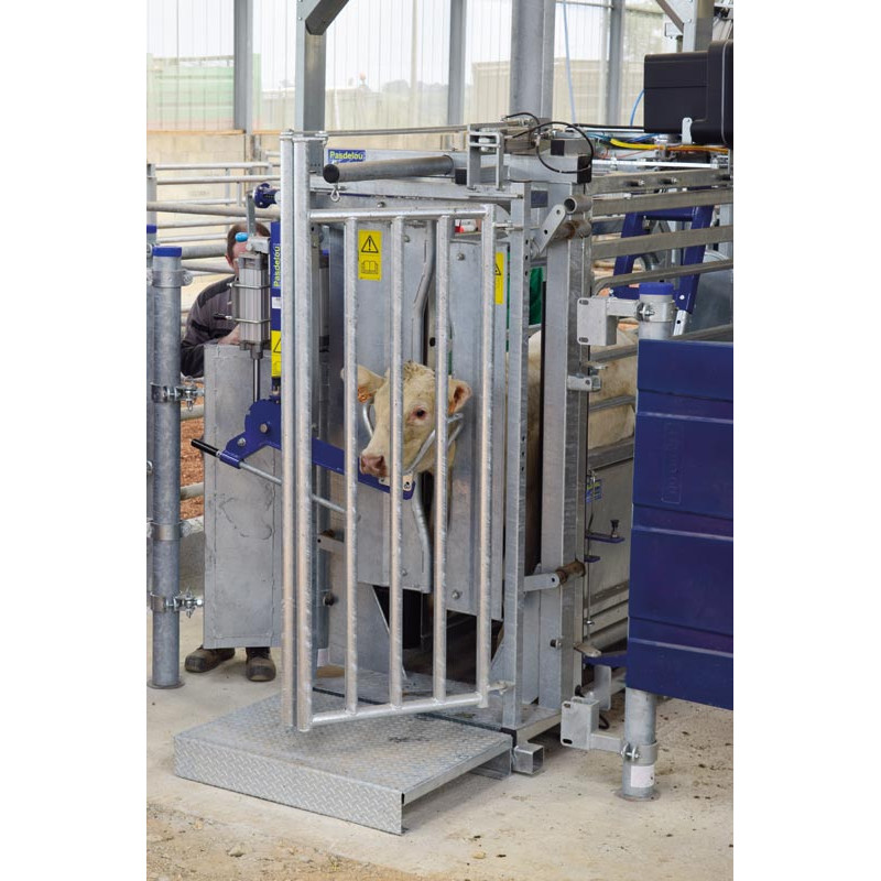 Pneumatic head scoop