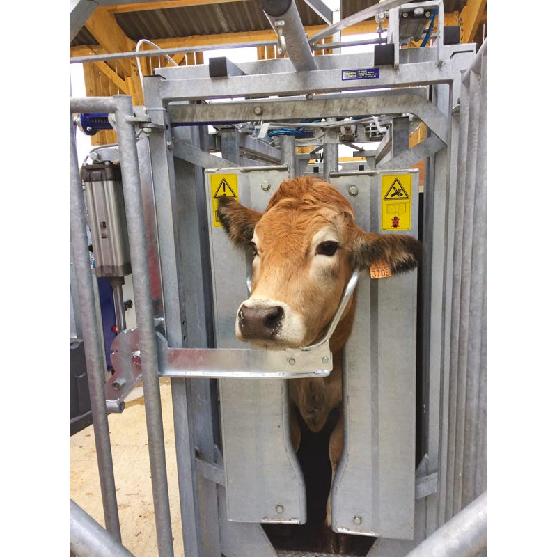 Pneumatic head scoop