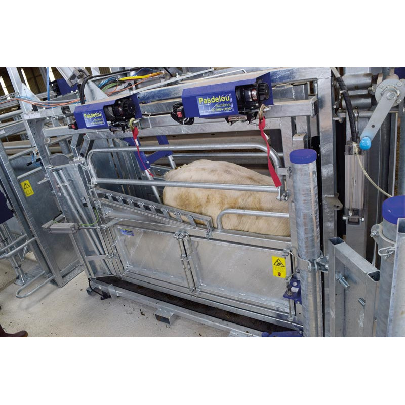 Pneumatic push/anti-backing system Pneumatic push/anti-backing system