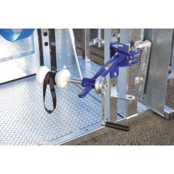 Additional manual trimming system for front hooves