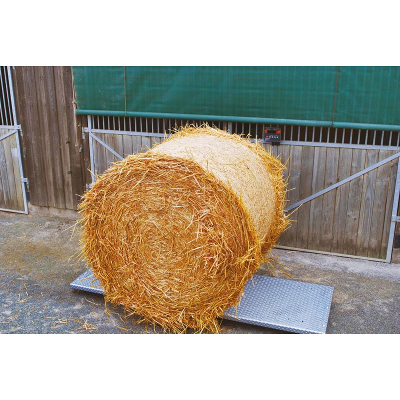 Weighing platform - Chequer plate - Width 0.80 m