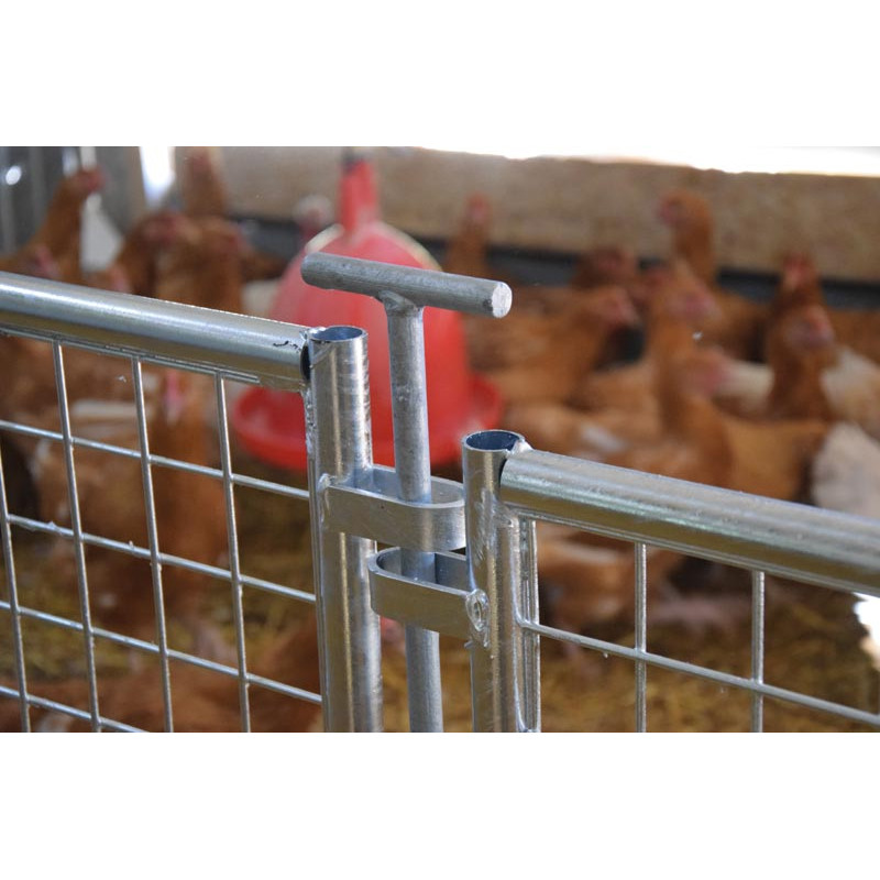 Wire-mesh poultry fencing