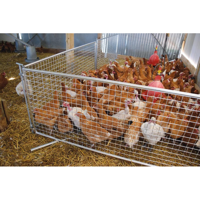 Wire-mesh poultry fencing