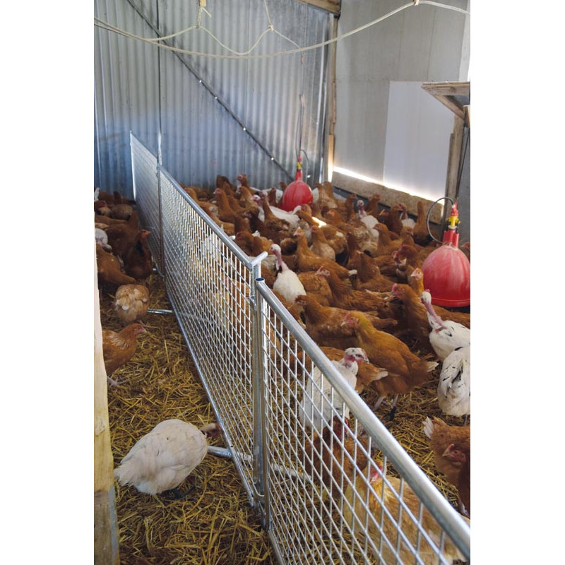 Wire-mesh poultry fencing