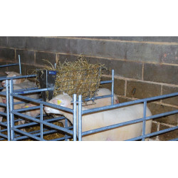 Single hay rack for sheep