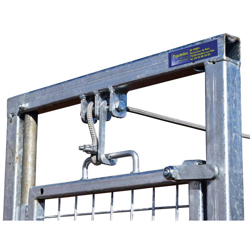 Two-way guillotine for sheep