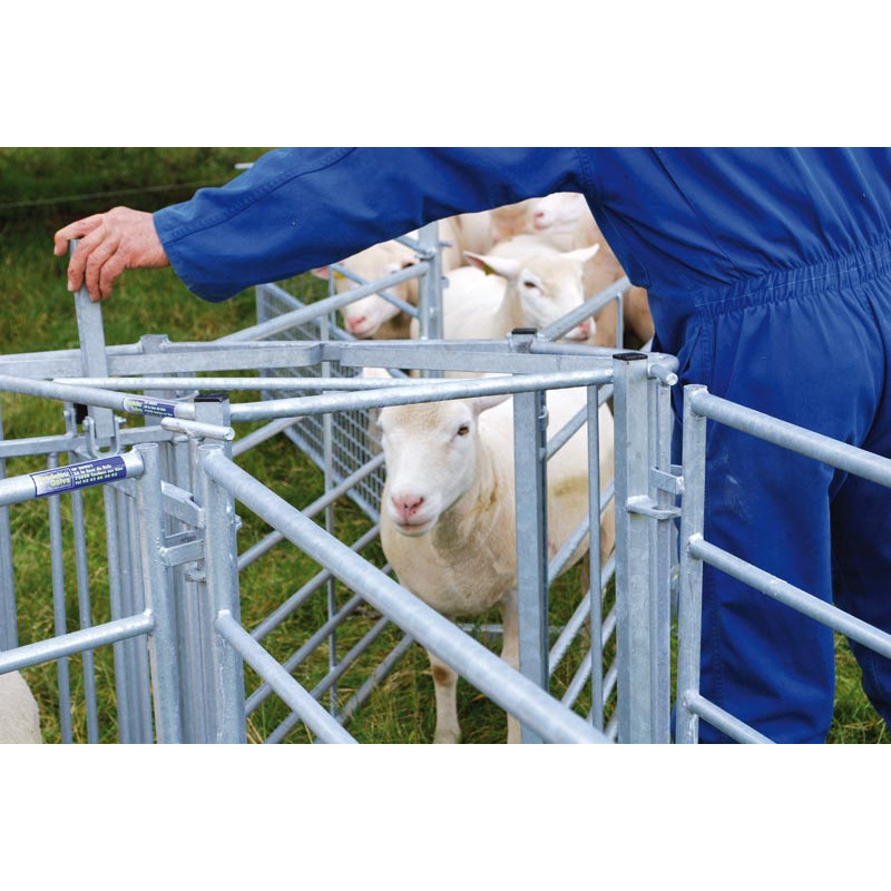 Two-way drafting gate for sheep
