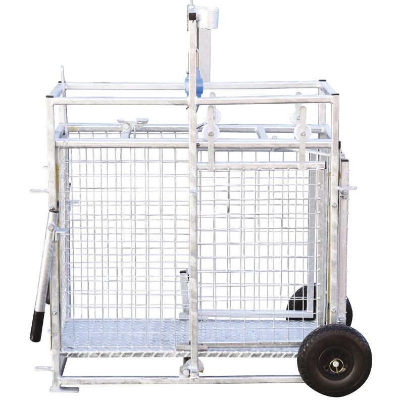 Mobile weighing crush for sheep with weighing dial