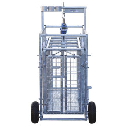 Mobile weighing crush for sheep with weighing dial